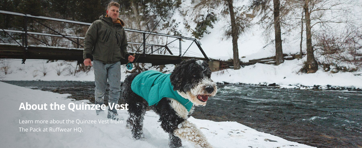 Amazon.com : Ruffwear, Quinzee Dog Winter Jacket, Insulated